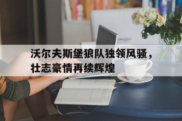 关于沃尔夫斯堡狼队独领风骚，壮志豪情再续辉煌的信息